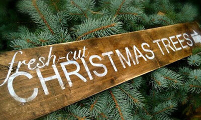 SANTA'S WINTER FOREST Christmas Tree Lot