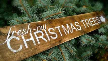 SANTA'S WINTER FOREST Christmas Tree Lot