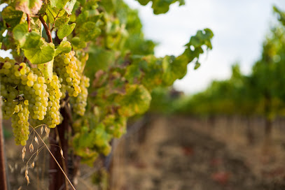 Hyde Vineyards