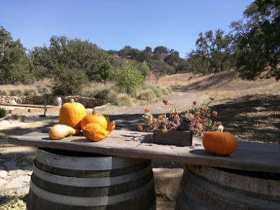 Martian Ranch & Vineyard