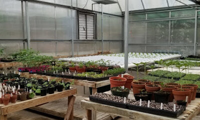Central Illinois Fresh LLC