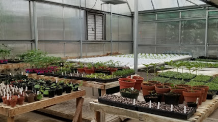 Central Illinois Fresh LLC