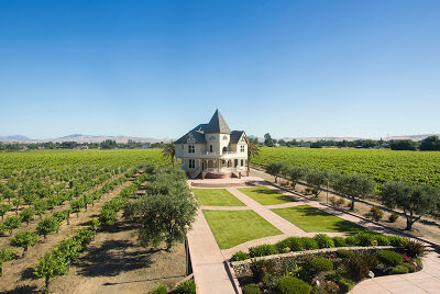 Concannon Vineyard