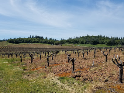 Bella Grace Wine Cave