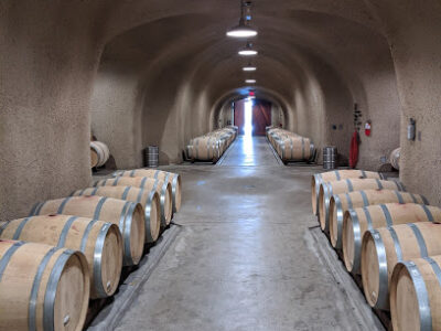 Jericho Canyon Vineyard