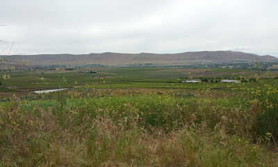 Red Mountain