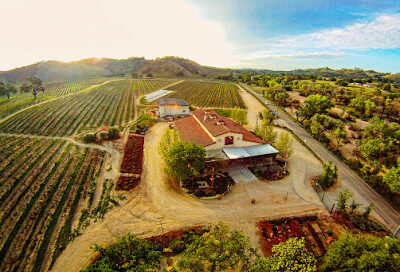 Cass Winery