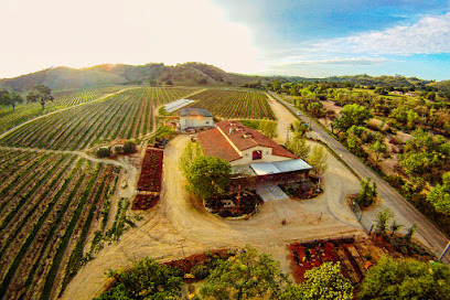 Cass Winery