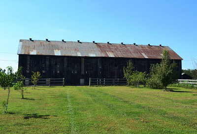 Castle Hill Winery