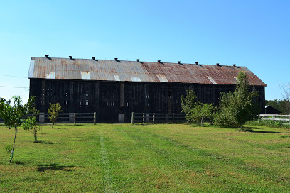 Castle Hill Winery