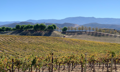 Leoness Cellars
