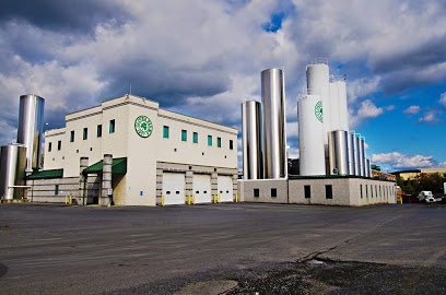 Clover Farms Dairy
