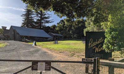 Picchetti Winery