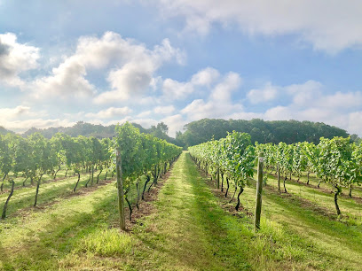 Borghese Vineyard