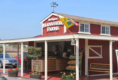 The Original Manassero Farms
