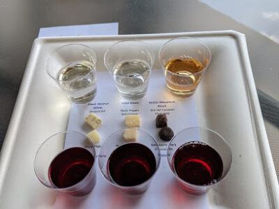 Magnolia Vineyards