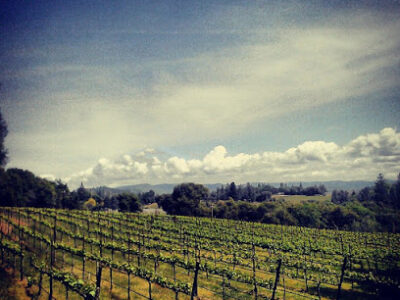 Cantiga Wineworks
