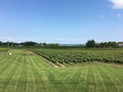 Fielding Estate Winery