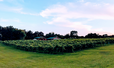 Dale Hollow Winery