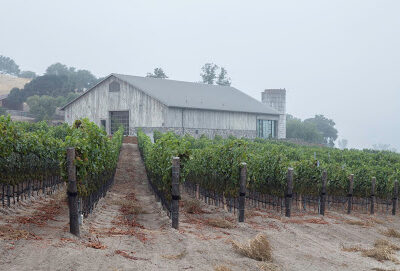 Spear Vineyards and Winery