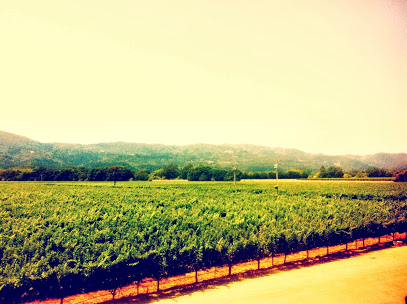 Honig Vineyard & Winery