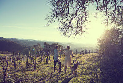 SEAWOLF Wines