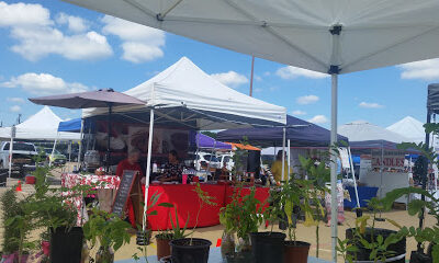 Mansfield Farmers Market