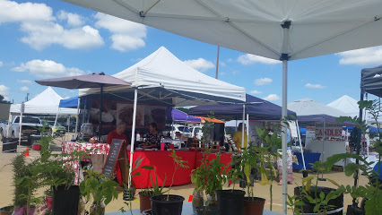 Mansfield Farmers Market