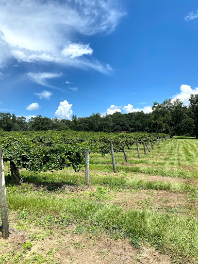 Windy Hill Vineyard