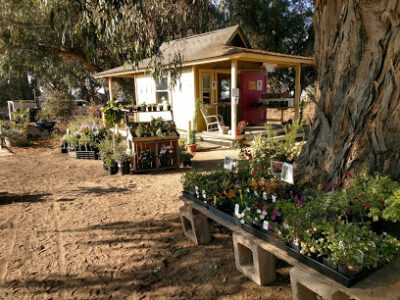 Growing Grounds Farm Santa Maria
