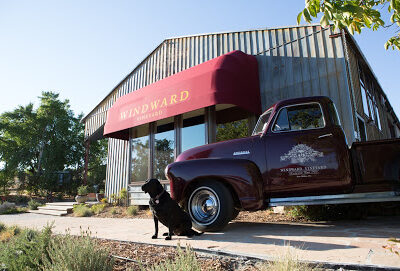 Windward Vineyard