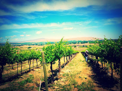Chandler Reach Vineyards
