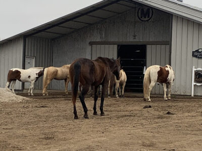 Riverfield Farms