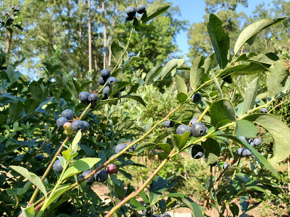 Saladino's Red Barn Farms