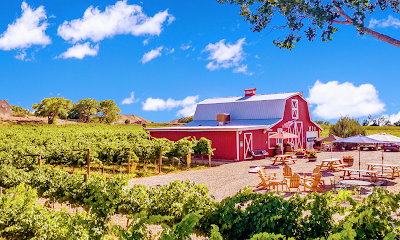 Mesa Park Vineyards