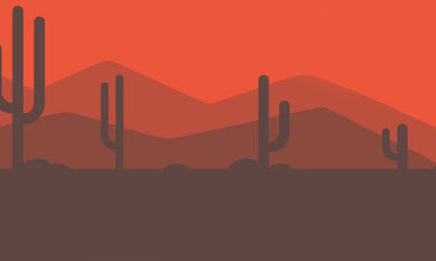 Sonoran Coffee & Food Services