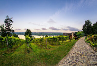 Finger Lakes Wine Country