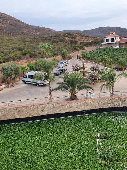 Vinos Martlot