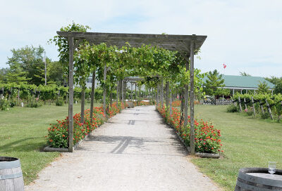 Pelee Island Winery Pavilion