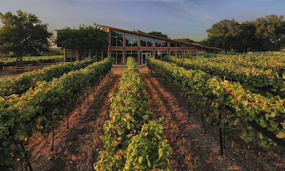 William Chris Vineyards