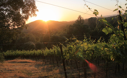 Mellowood Vineyard