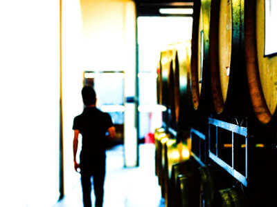 Sanguis Winery