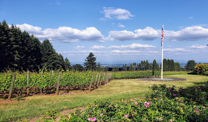 Cubanisimo Vineyards