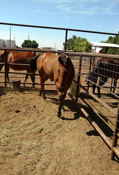 Six R Farms