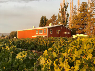 Domanico Cellars
