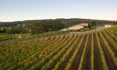 J. Christopher Wines