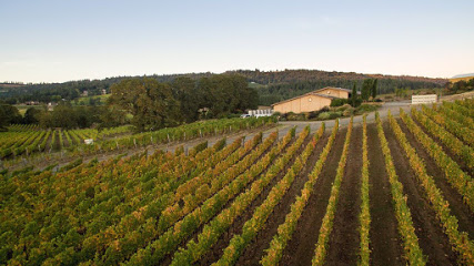 J. Christopher Wines