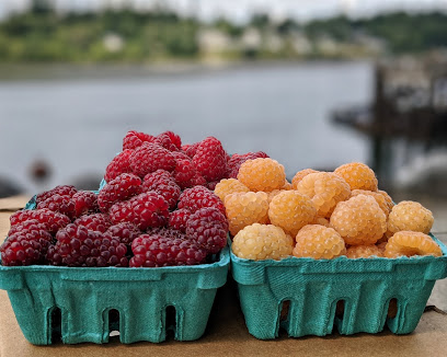 Johnson Berry Farm