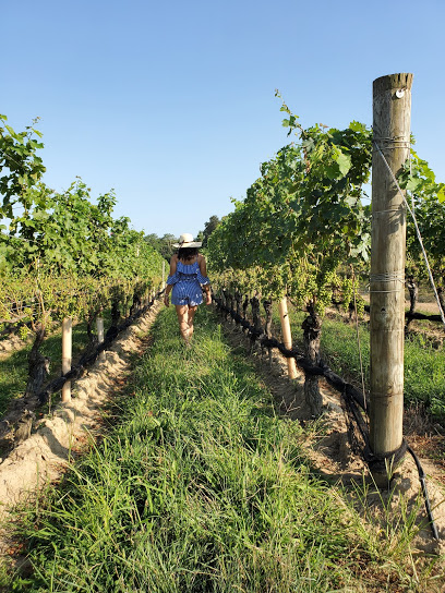 Jason's Vineyard