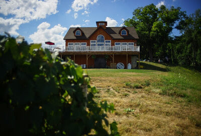 Vineyard View Winery